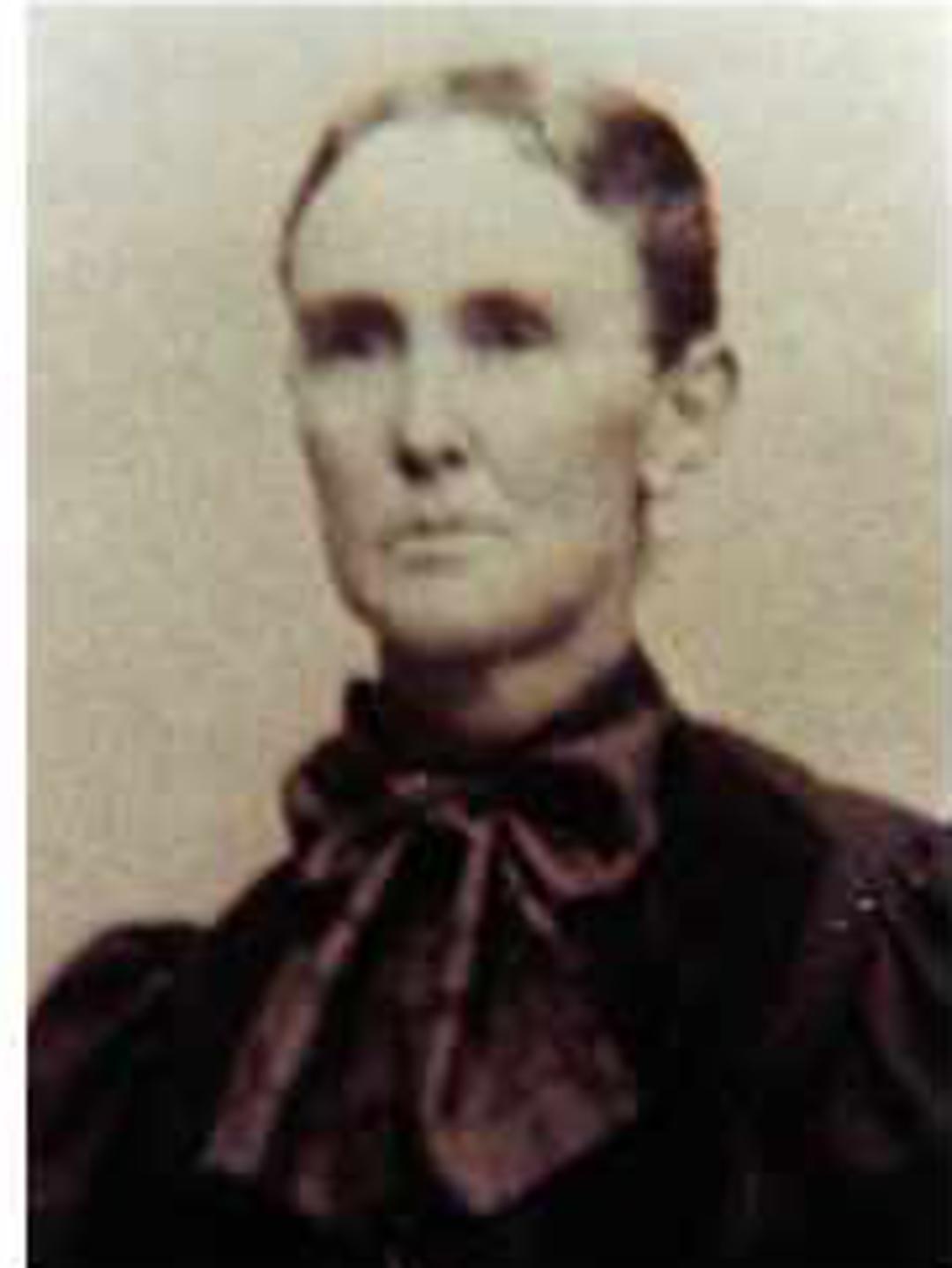Polly Tryphena Fairchild (1846 - 1943) Profile